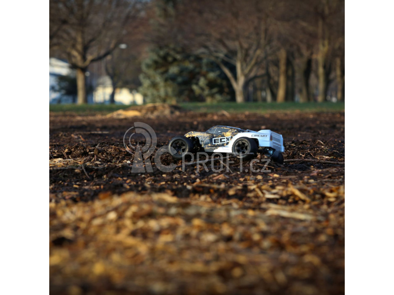 ECX Circuit 1:10 V3 RTR stříbrný