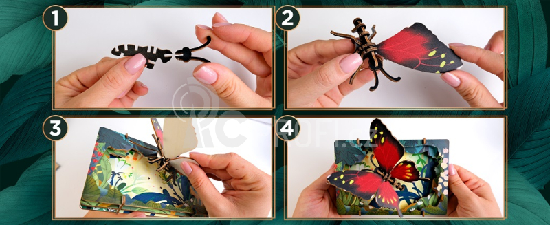 EscapeWelt 3D dřevěné puzzle Motýl
