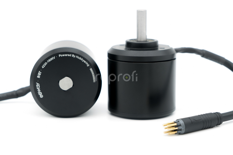 Exway Flex - Motor M4230 pro Riot