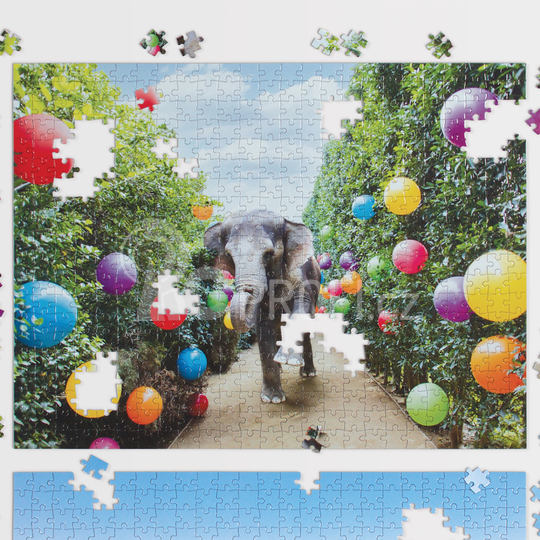 Galison Oboustranné puzzle V parku Gray Malin 500 dílků