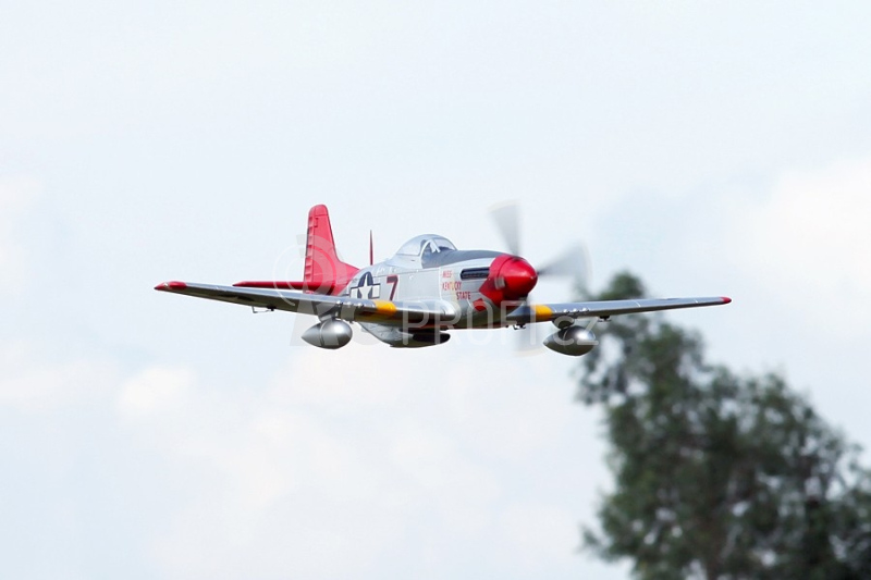 Giant P-51D Mustang EPP 1700mm ARF RED TAIL