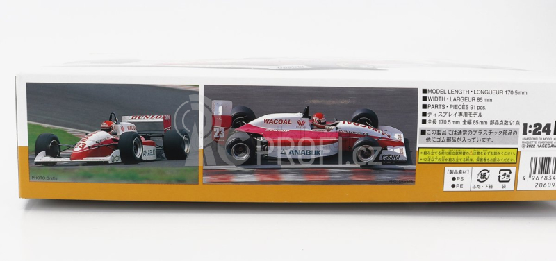 Hasegawa Lola T90-50 Team Wacoal Dunlop N 23 F3000 Season 1995 N.furuya 1:24 /