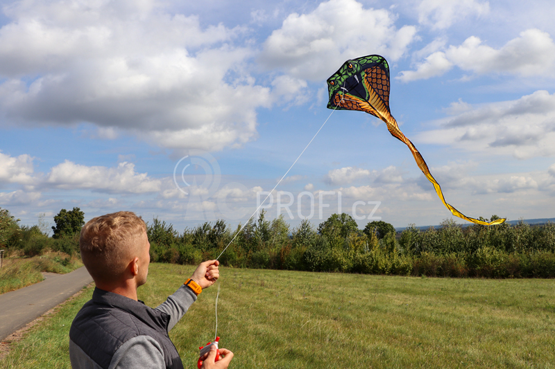 Létající drak Kobra