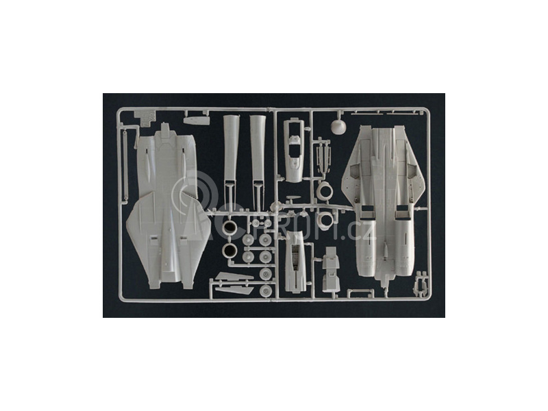 Italeri F-14 A Tomcat (1:72)