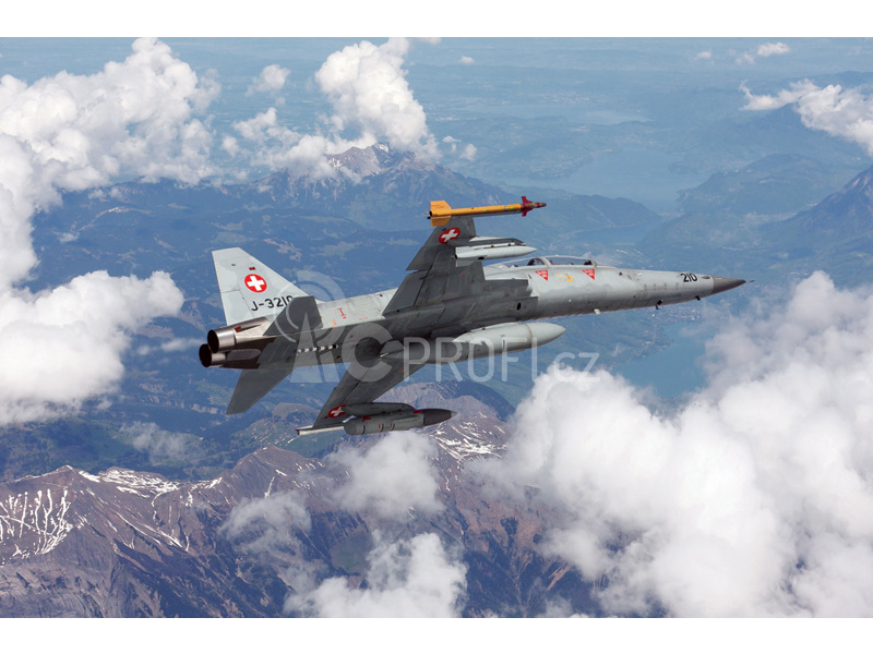Italeri F-5 F Twin Seater (1:72)
