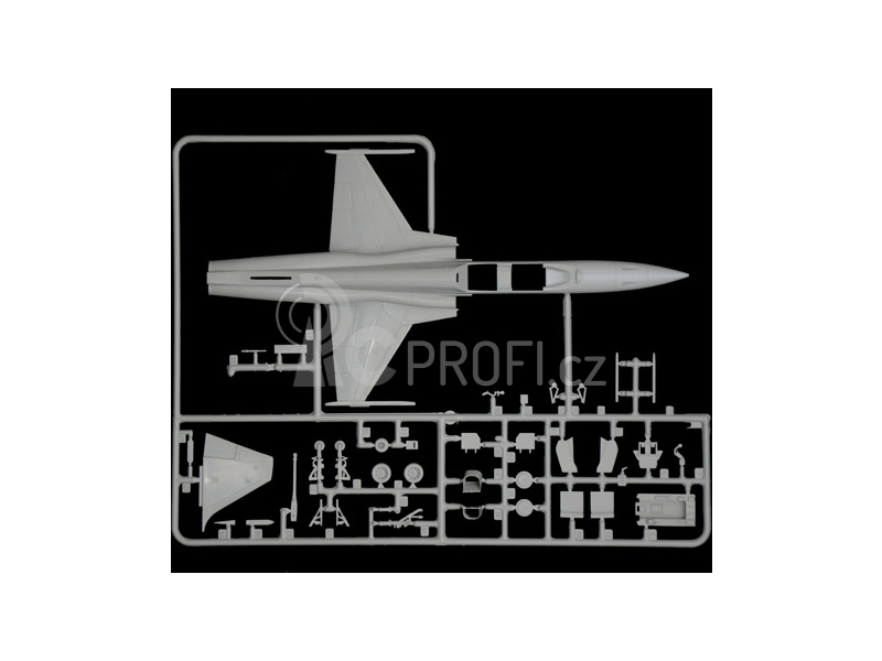 Italeri F-5 F Twin Seater (1:72)