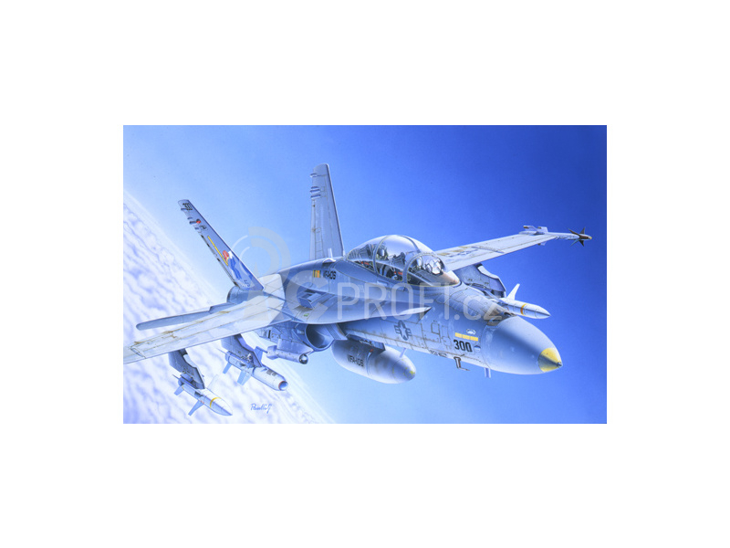 Italeri F/A-18C/D Wild Weasel (1:72)