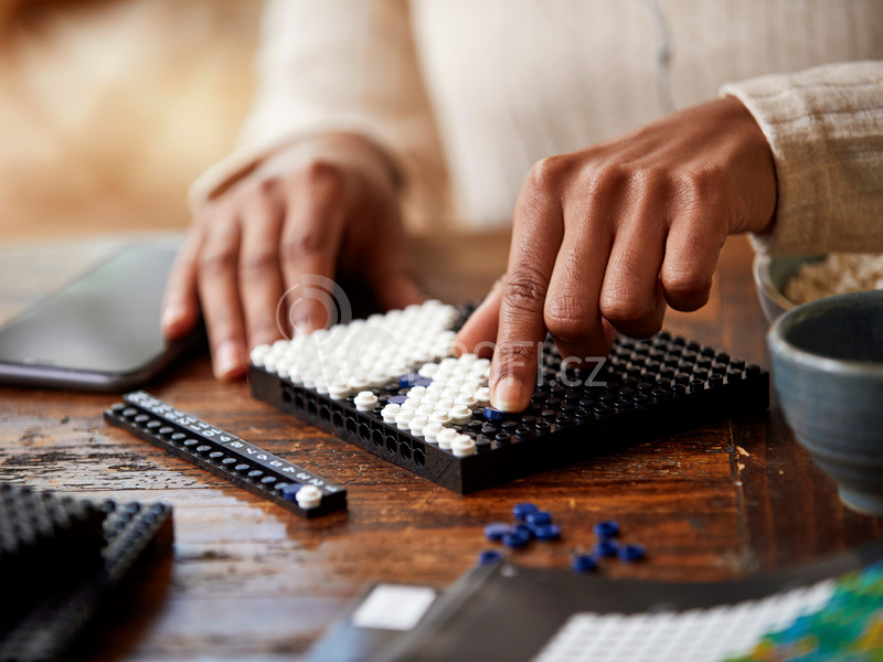 LEGO ART - Mapa světa