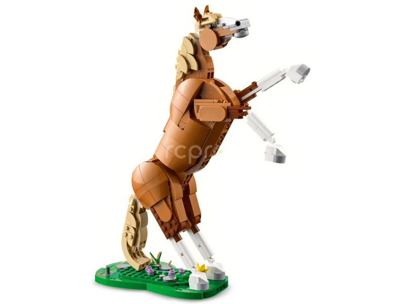 LEGO Creator - Krásný kůň