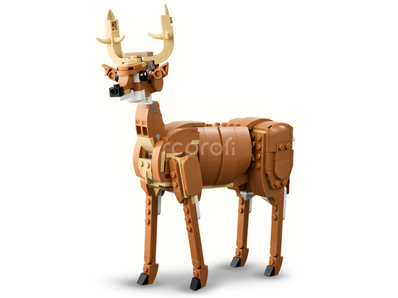 LEGO Creator - Krásný kůň