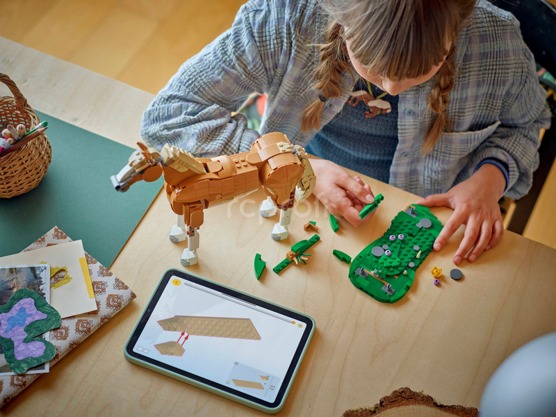 LEGO Creator - Krásný kůň
