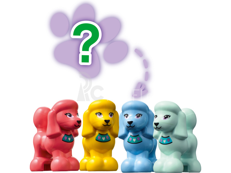 LEGO Friends - Andrein plavecký boxík