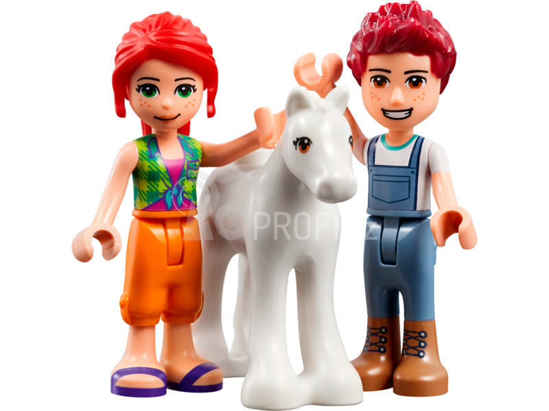 LEGO Friends - Čištění poníka ve stáji