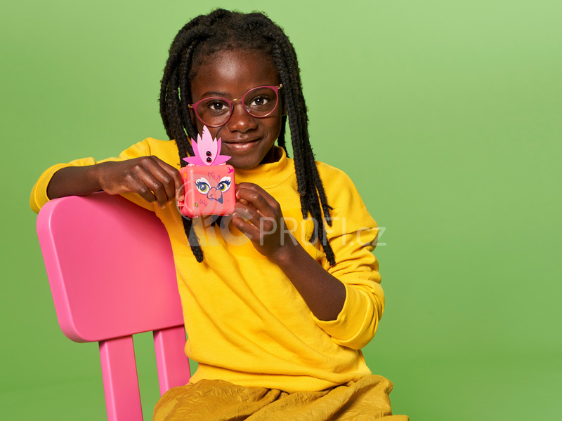 LEGO Friends - Olivia a její plameňákový boxík