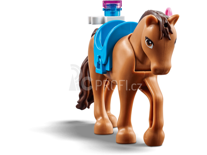 LEGO Friends - Veterinární klinika v městečku Heartlake