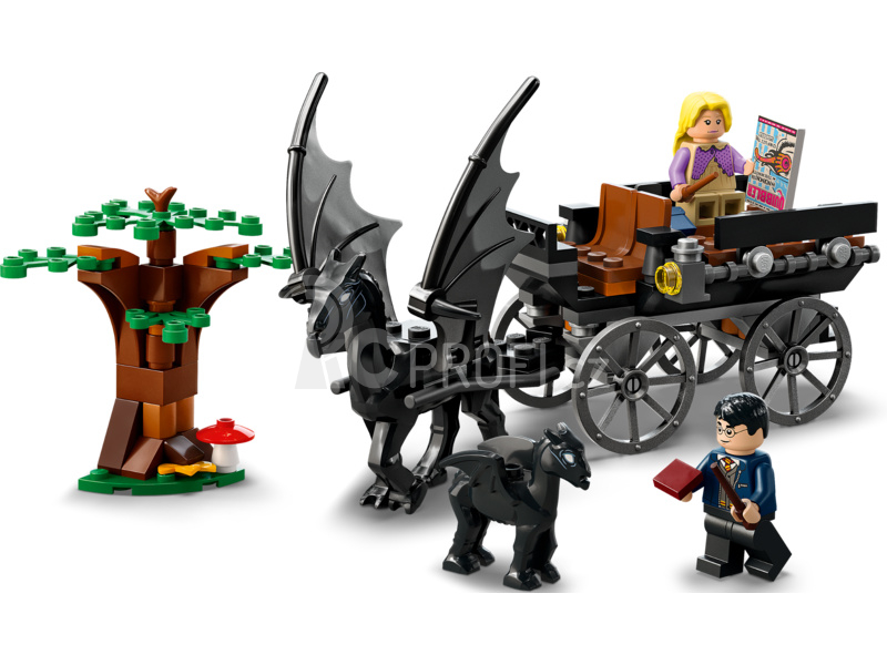 LEGO Harry Potter - Bradavice: Kočár a testrálové