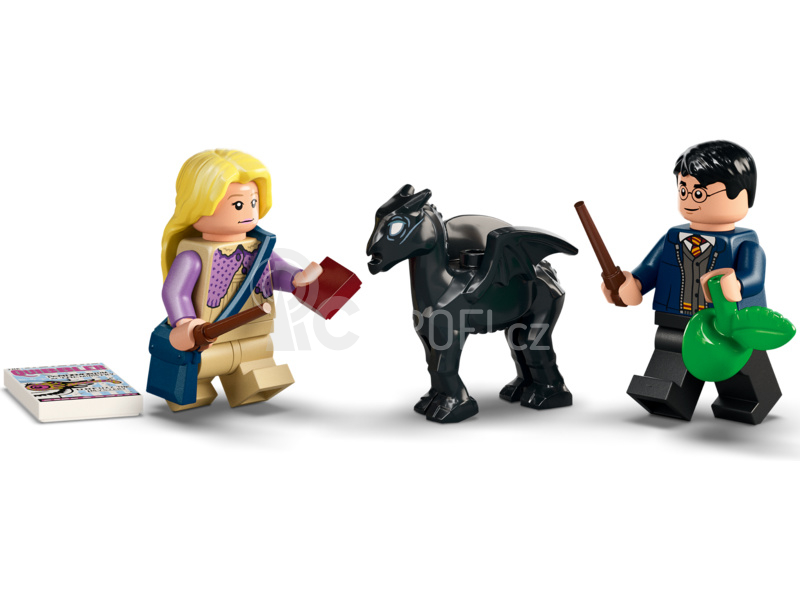 LEGO Harry Potter - Bradavice: Kočár a testrálové