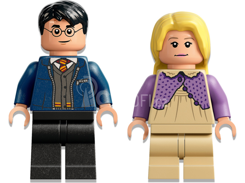 LEGO Harry Potter - Bradavice: Kočár a testrálové