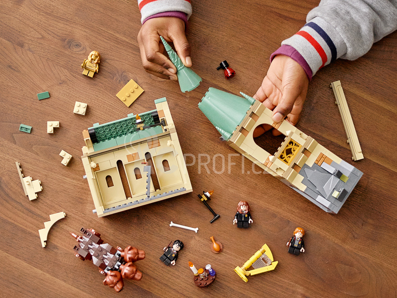 LEGO Harry Potter - Bradavice: setkání s Chloupkem