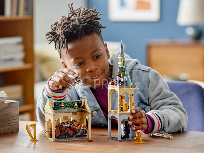 LEGO Harry Potter - Bradavice: setkání s Chloupkem