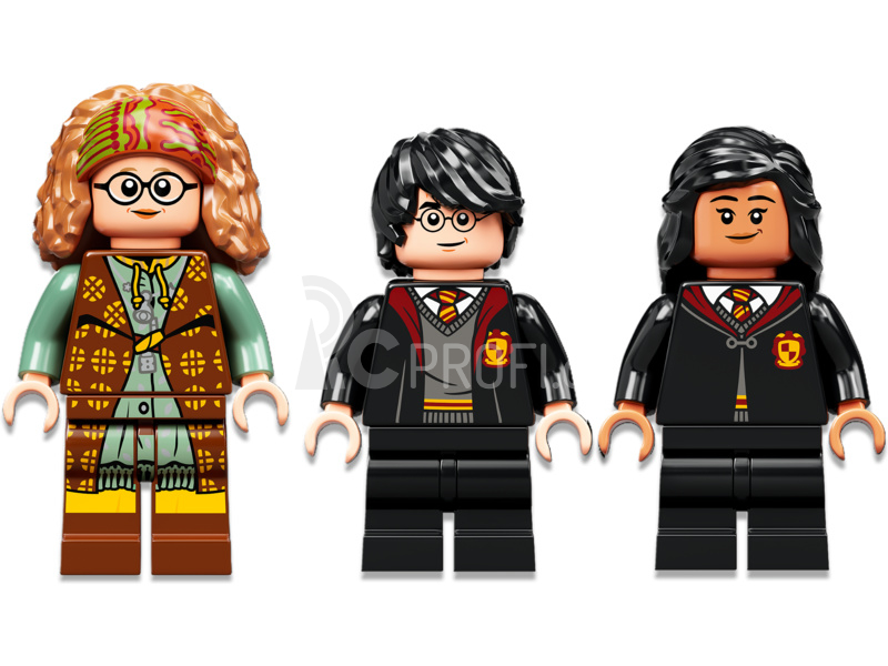 LEGO Harry Potter - Kouzelné momenty z Bradavic: Hodina jasnovidectví
