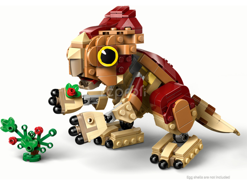 LEGO Jurassic World - Dinosauří mládě Dolores: Aquilops