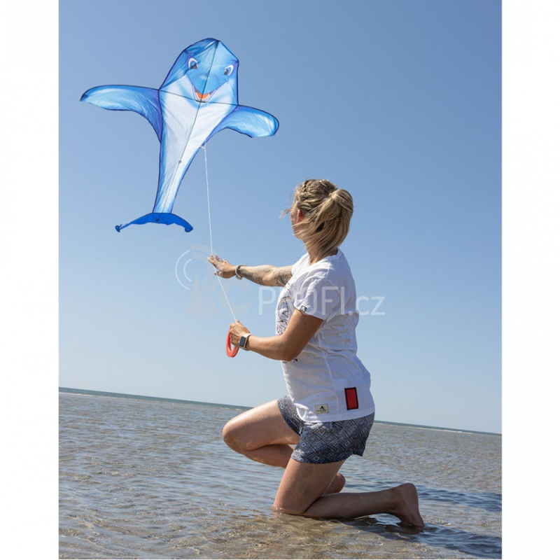 Létající drak Dolphin Kite