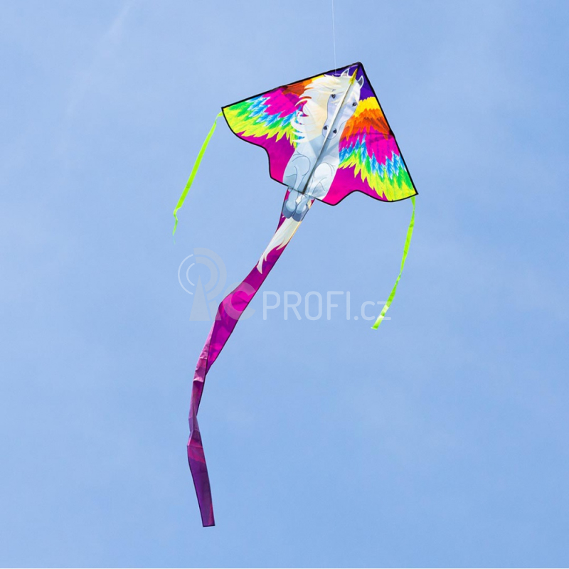 Létající drak Simple Flyer Pegasus