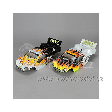 Losi 22T 1:10 2WD Race Truck RTR
