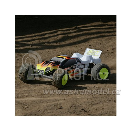 Losi 22T 1:10 2WD Race Truck RTR