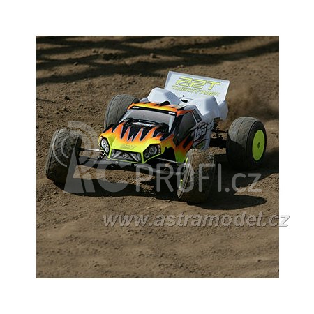 Losi 22T 1:10 2WD Race Truck RTR