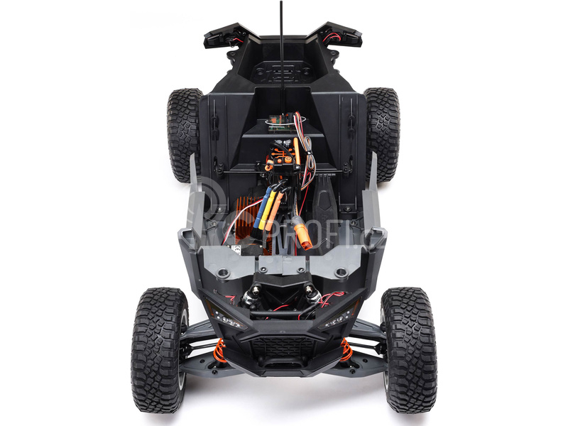 RC auto Losi RZR Rey 1:10 4WD RTR Fox