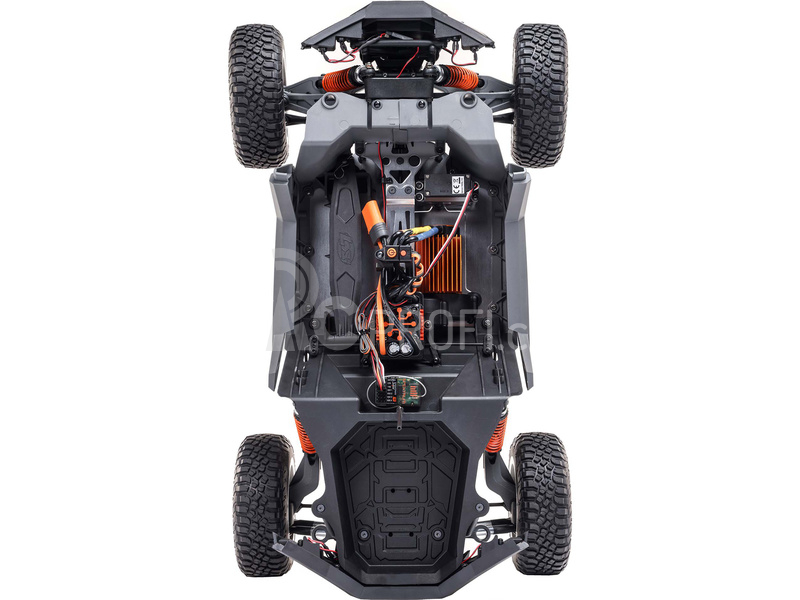 RC auto Losi RZR Rey 1:10 4WD RTR Fox