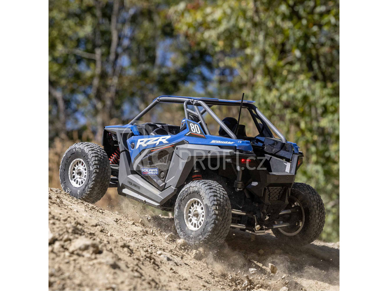 RC auto Losi RZR Rey 1:10 4WD RTR Fox