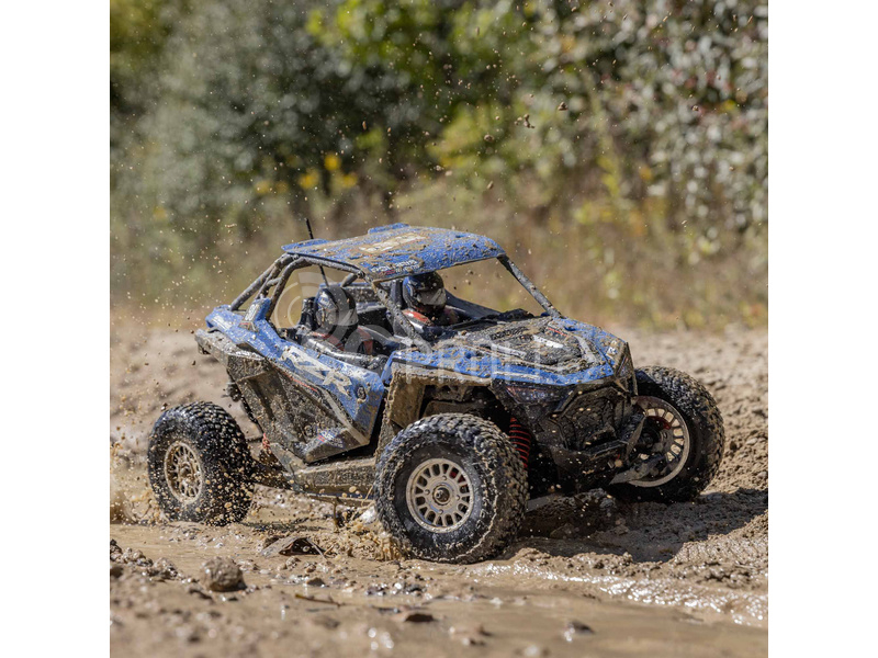 RC auto Losi RZR Rey 1:10 4WD RTR Fox