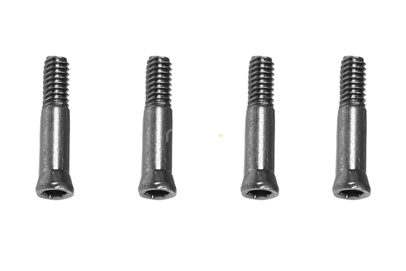 M4 MAX šroub M2x10.5mm