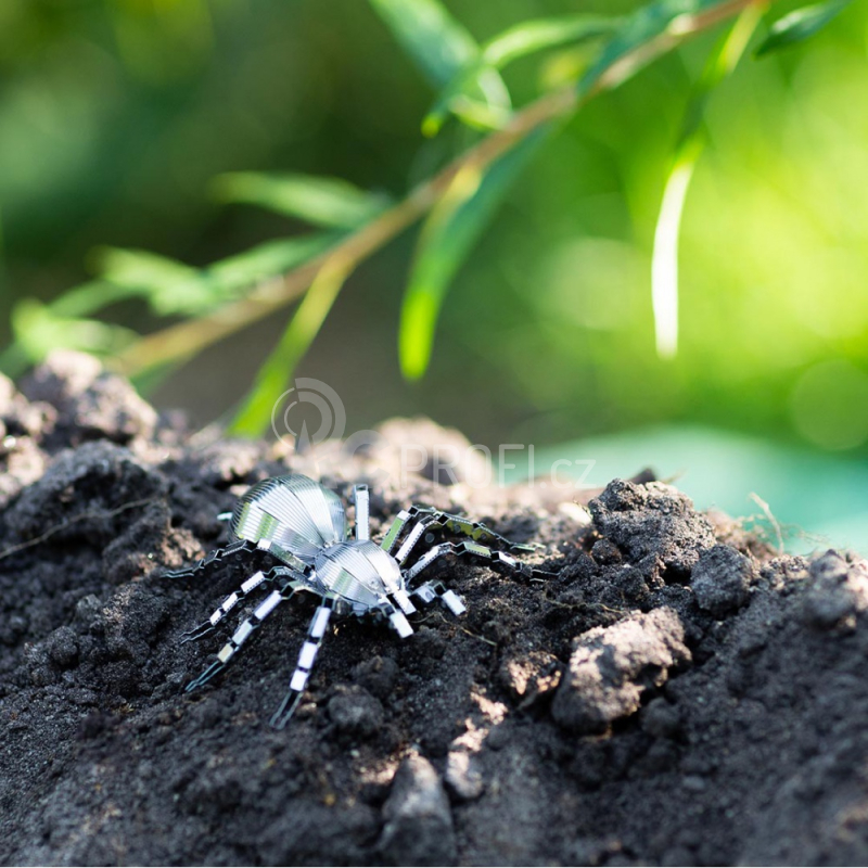 Ocelová stavebnice Tarantule