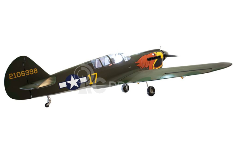 RC letadlo P-40N Warhawk 2,03m (Zatahovací podvozek) Parrothead