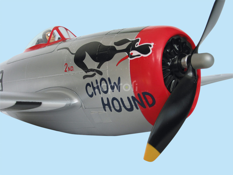 P–47 THUNDERBOLT elektro, 0209, ALFA MODEL