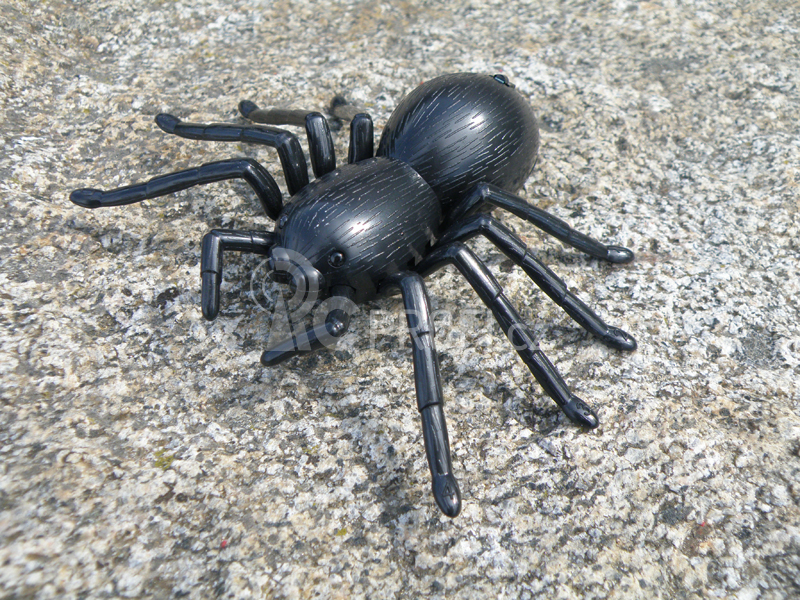 RC pavouk