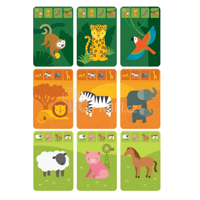 Petit Collage Karty v dóze království zvířat