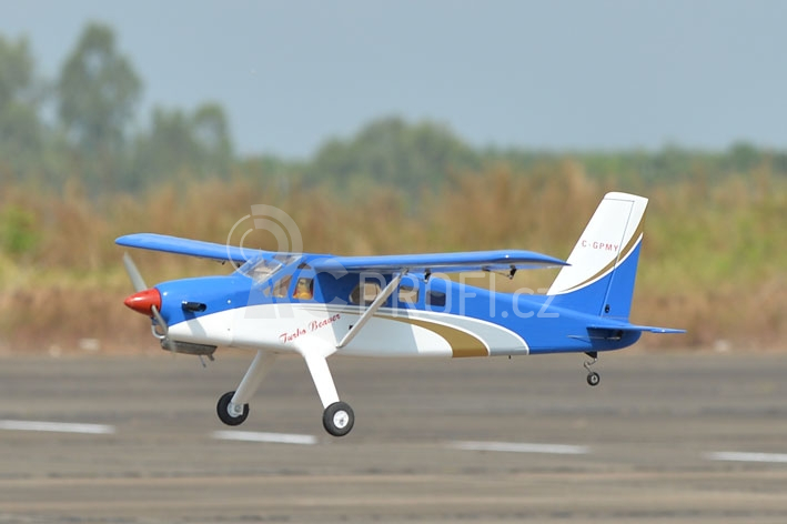 PH155 Turbo Beaver 1900mm ARF