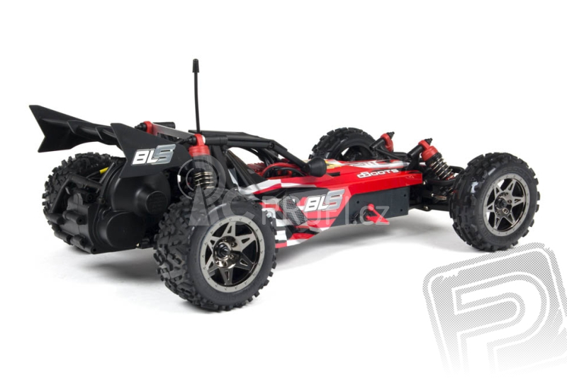 Raider 2WD Bls Brushless RTR