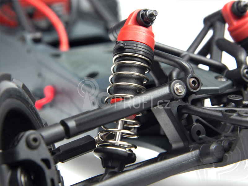 Raider 2WD Bls Brushless RTR