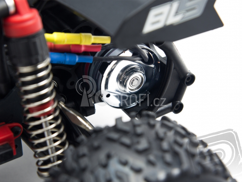 Raider 2WD Bls Brushless RTR