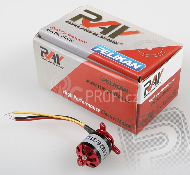 RAY C1826/31 outrunner brushless motor