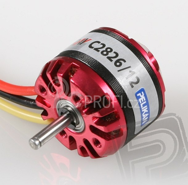 RAY C2826/12 outrunner brushless motor