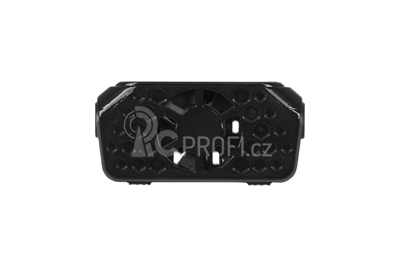 RAYTRONIC C50 nabíječ s balancerem 500W