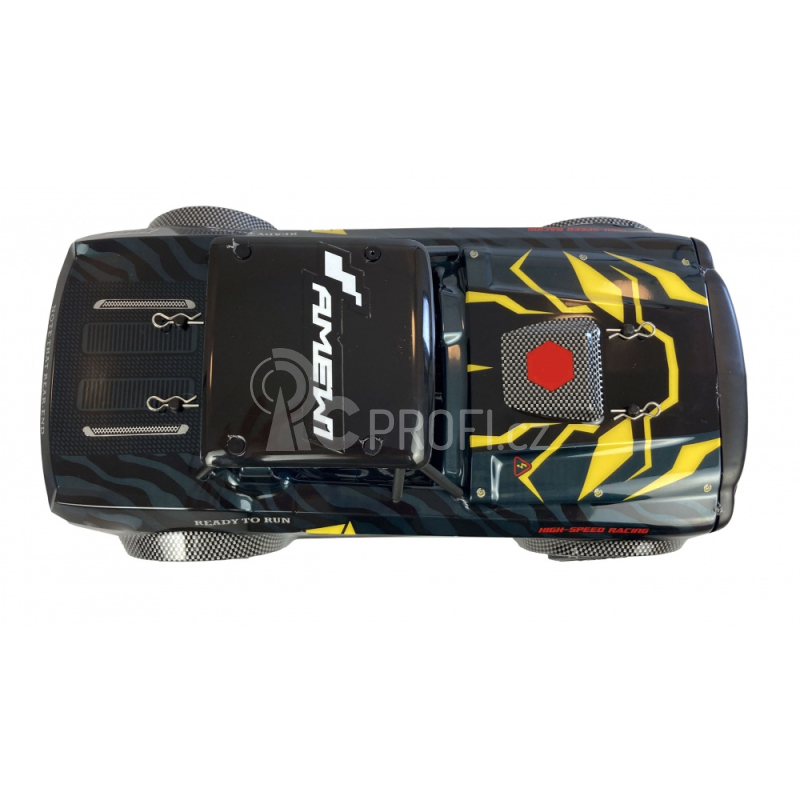 RC auto Amewi Drift Sports Car Panther Pro