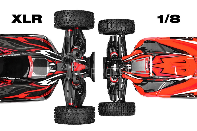 RC auto ASUGA XLR 6S - buggy 4WD - PRO Roller šasi, modrá